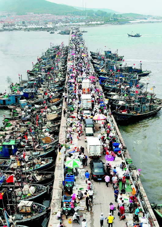 |开海当天青岛3000多艘渔船出海开捕 大量市民拥入码头开抢第一鲜