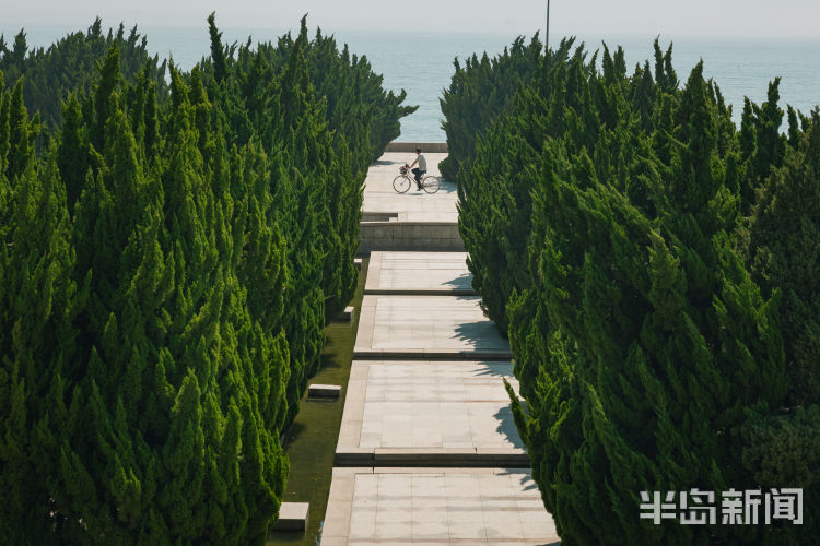 绿意盎然|青岛雕塑园内一片绿意盎然 不少市民休闲健身