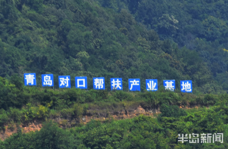 24|24载山海同行 安顺大地镌刻青岛印记