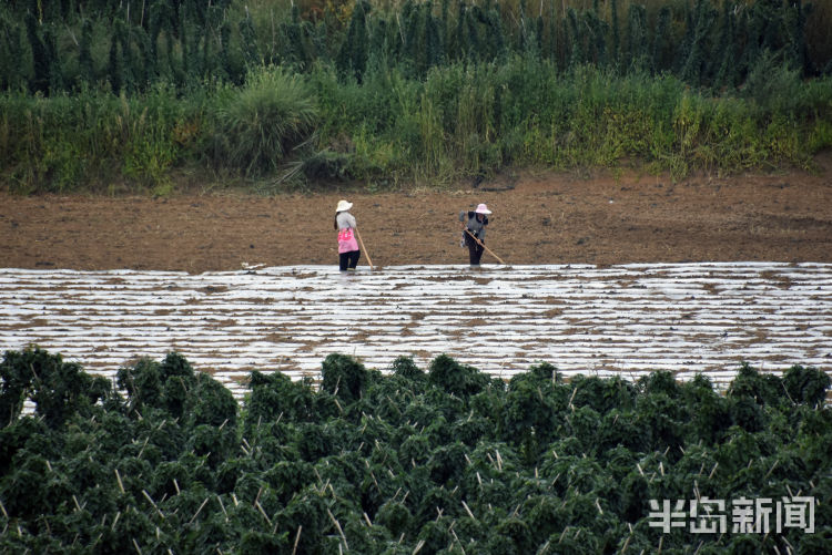 24|24载山海同行 安顺大地镌刻青岛印记