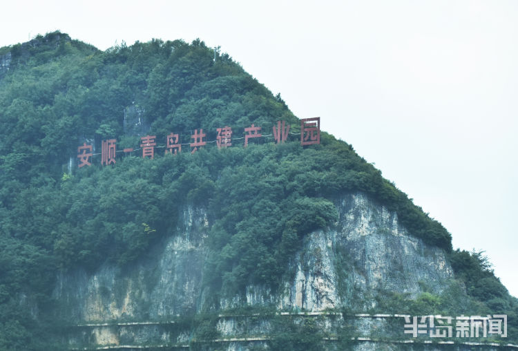 24|24载山海同行 安顺大地镌刻青岛印记