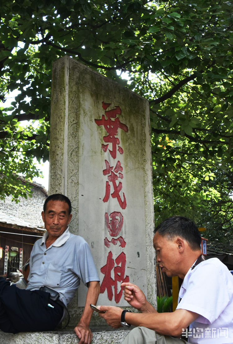 24|24载山海同行 安顺大地镌刻青岛印记