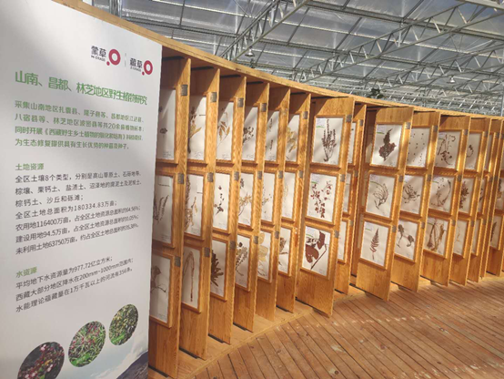 |【幸福花开新边疆】高原之上，看见幸福