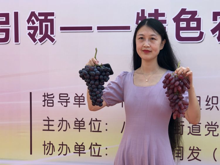 金手指|金手指、玫瑰香、玫瑰露、阳光美女……平度大泽山葡萄来到家门口啦