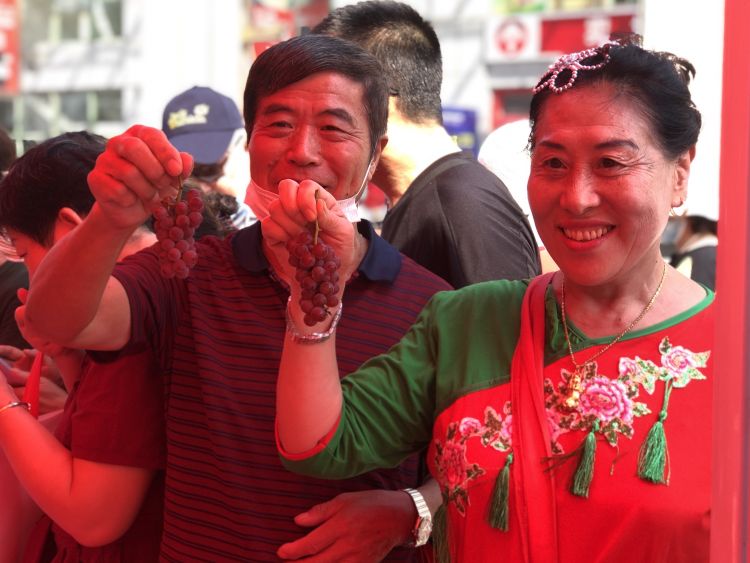 金手指|金手指、玫瑰香、玫瑰露、阳光美女……平度大泽山葡萄来到家门口啦