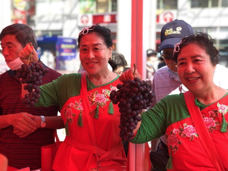 金手指|金手指、玫瑰香、玫瑰露、阳光美女……平度大泽山葡萄来到家门口啦