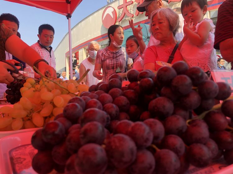 金手指|金手指、玫瑰香、玫瑰露、阳光美女……平度大泽山葡萄来到家门口啦