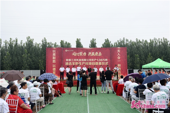 |绿化荒山、打造田园 山东各地发展生态农业奏响“致富曲”