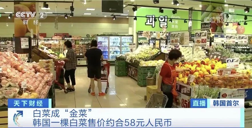 白菜|白菜价格暴涨58元一棵 韩国泡菜严重紧缺怎么回事？