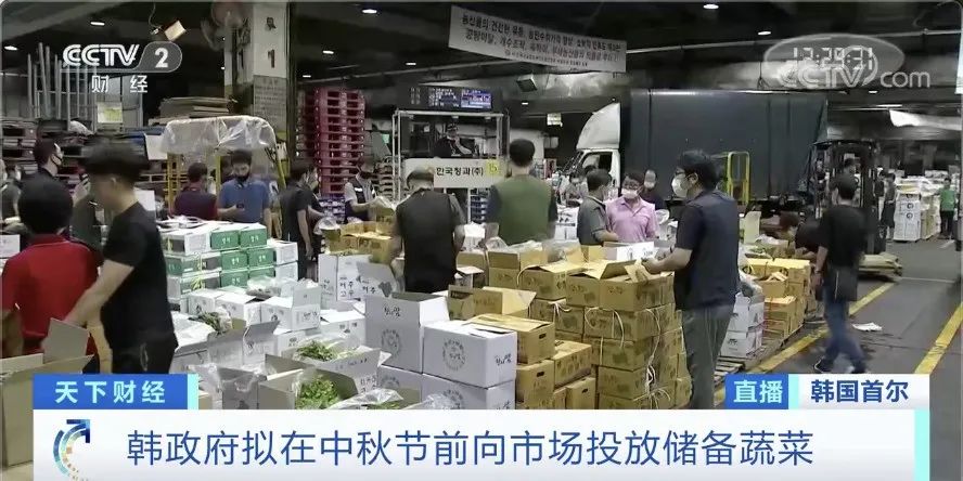 白菜|白菜价格暴涨58元一棵 韩国泡菜严重紧缺怎么回事？