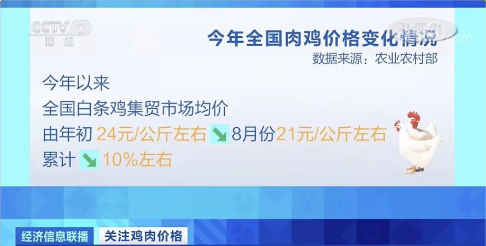 10|养一只赔10元！全国鸡肉价格弱势运行 三年来首次下降