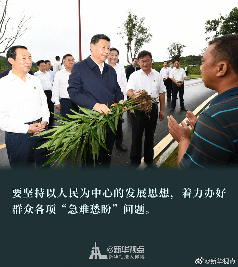 |从“半条被子”到小树苗，总书记湖南之行讲了这些金句