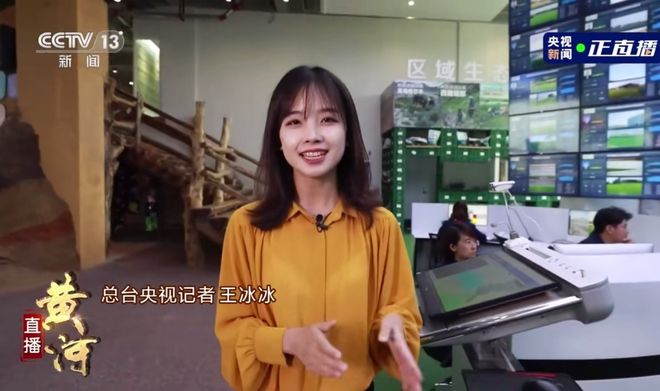 央视神颜天团再添人王冰冰被封央视最美女记者