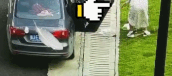 传疯|随地大小便，车牌被曝光！图片传疯......浙江舟山交警：对，我们干的！