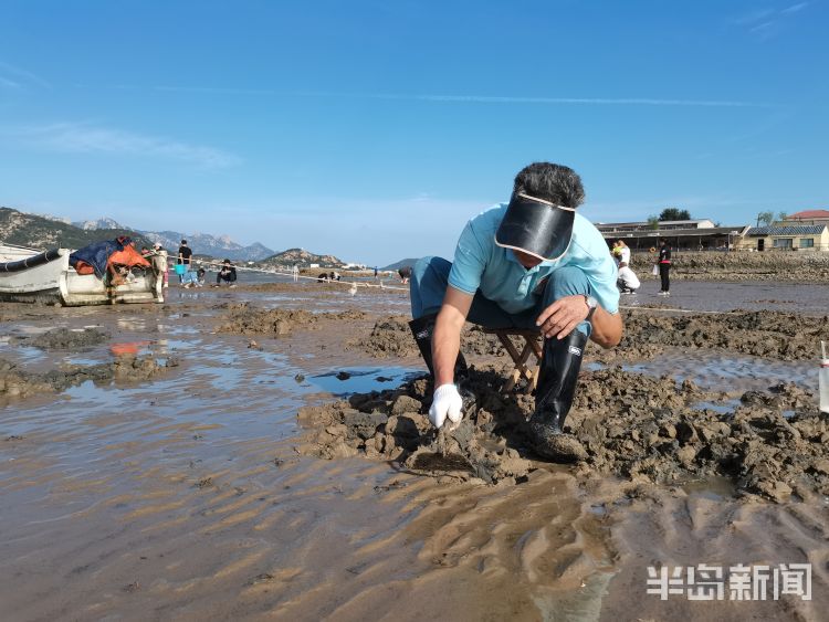 国庆长假期间,沙子口湾引来众多游客前来赶海,假期的最后一天也不例外