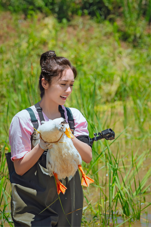 俞灏明|《青春在大地》俞灏明刘芸岫云村采风之旅 抓鸭赶猪体验下乡进货