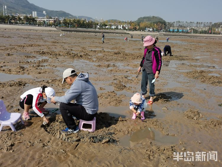 沙子口海滩赶海挖蛏子一挖一小篓