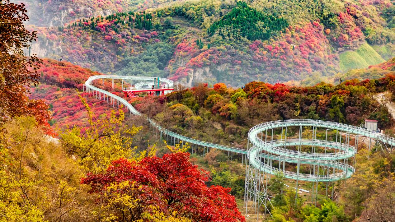 淄博鲁商红叶柿岩旅游区