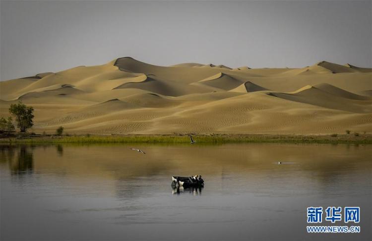 画卷|天山南北丰收画卷