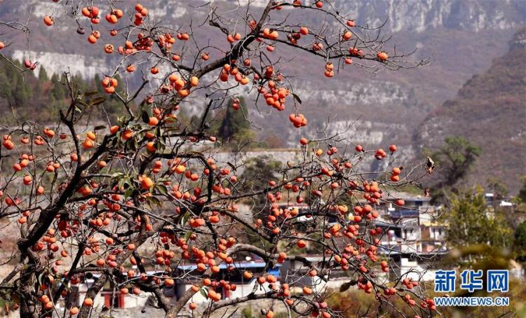 入画|太行美景入画来