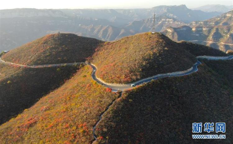 入画|太行美景入画来