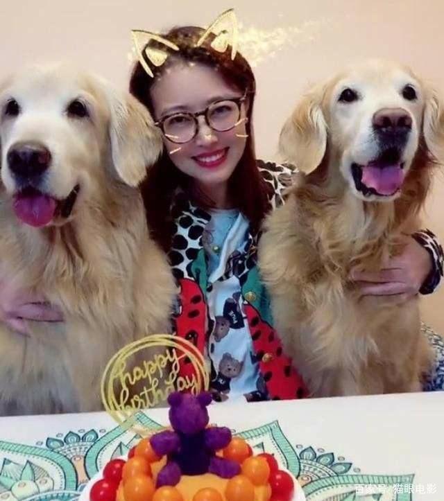 周海媚|53岁周海媚晒与狗狗合照被网友质问为何不生娃 本尊回怼：与你何干