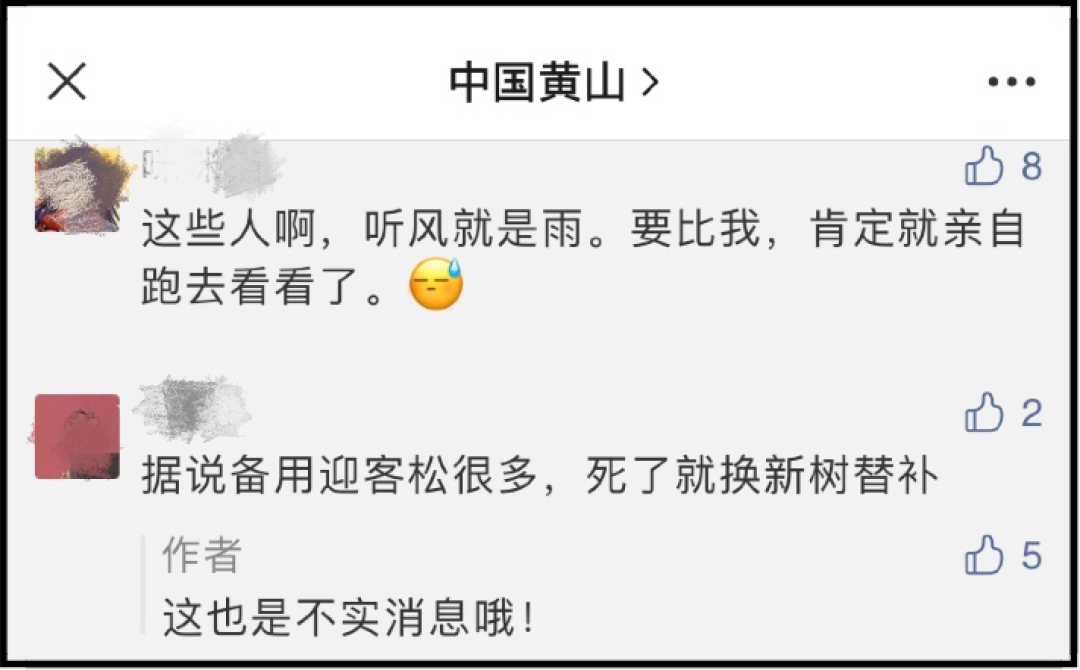 迎客松|黄山迎客松是塑料的？官方回应了