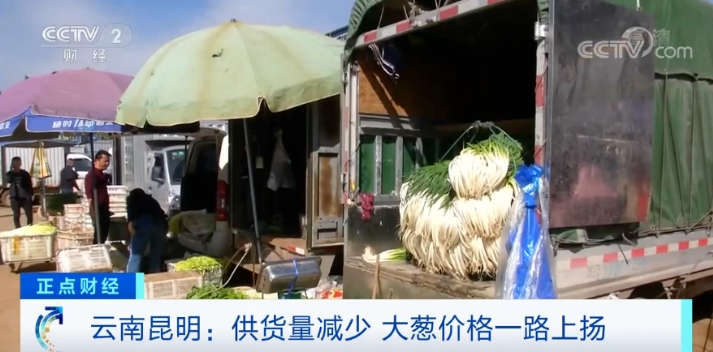 哪般|云南昆明：短短几天大葱价格涨两倍 或和气候与市场因素有关
