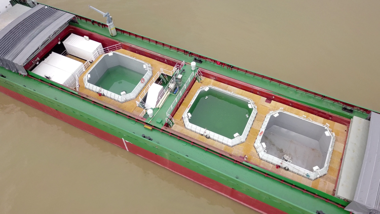 10|全球首艘10万吨级智慧渔业大型养殖工船中试船正式交付