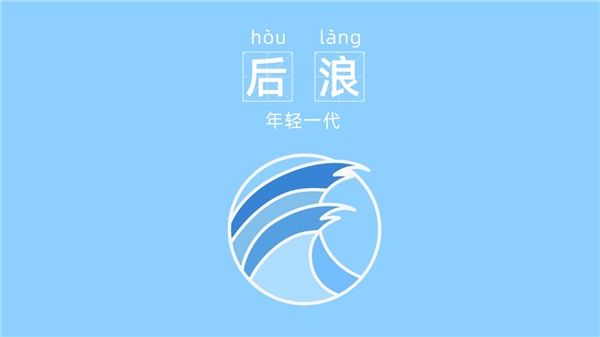 你听过几个2020十大网络热词出炉尾款人双节棍后浪等上榜