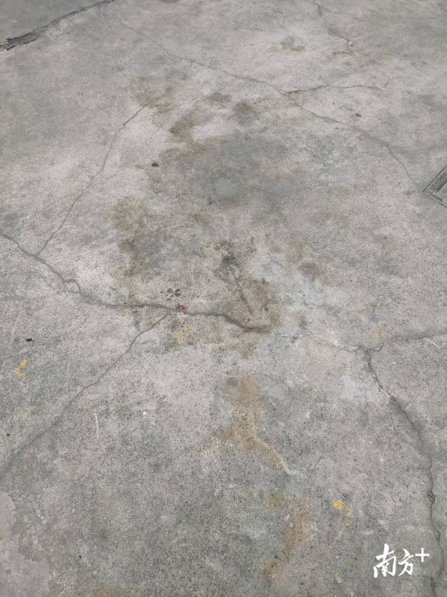 中通|东莞一中通快递员被砸身亡 妻子：未签合同 公司拒按“工伤”赔偿