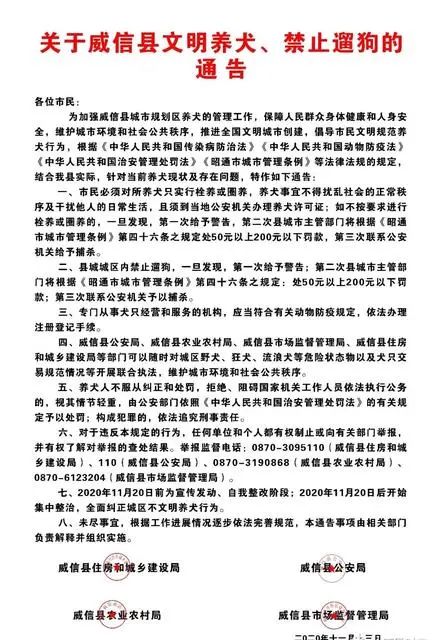 威信县|云南昭通威信县规定城区禁止遛狗，违反三次捕杀