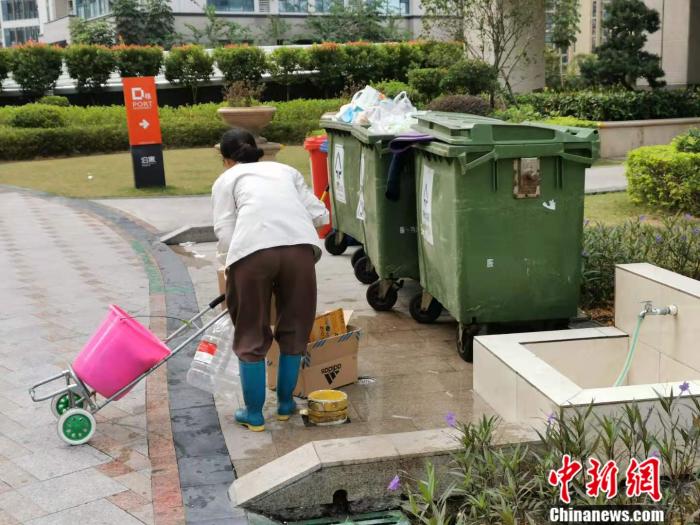 11|“双11”快递包装去哪了？收废品大妈一天收800斤纸箱