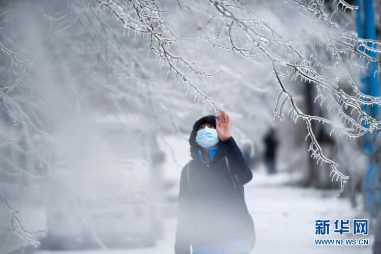北国|冰冻北国 吉林长春遭遇罕见强雨雪大风冰冻天气
