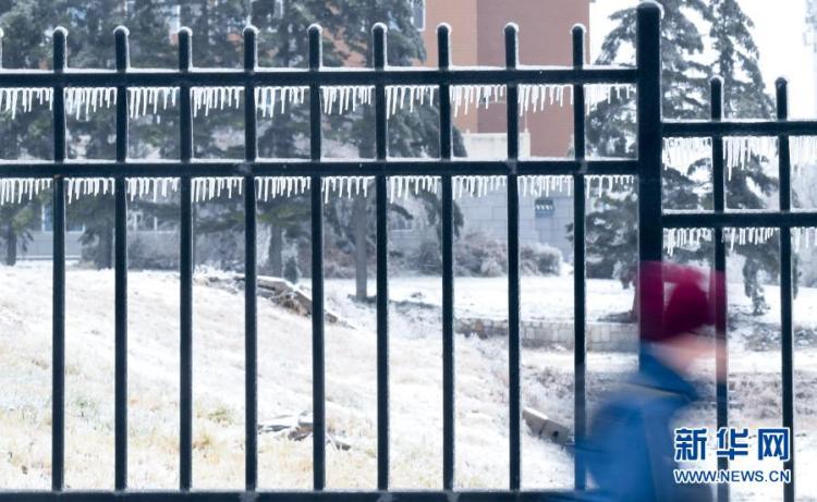 北国|冰冻北国 吉林长春遭遇罕见强雨雪大风冰冻天气