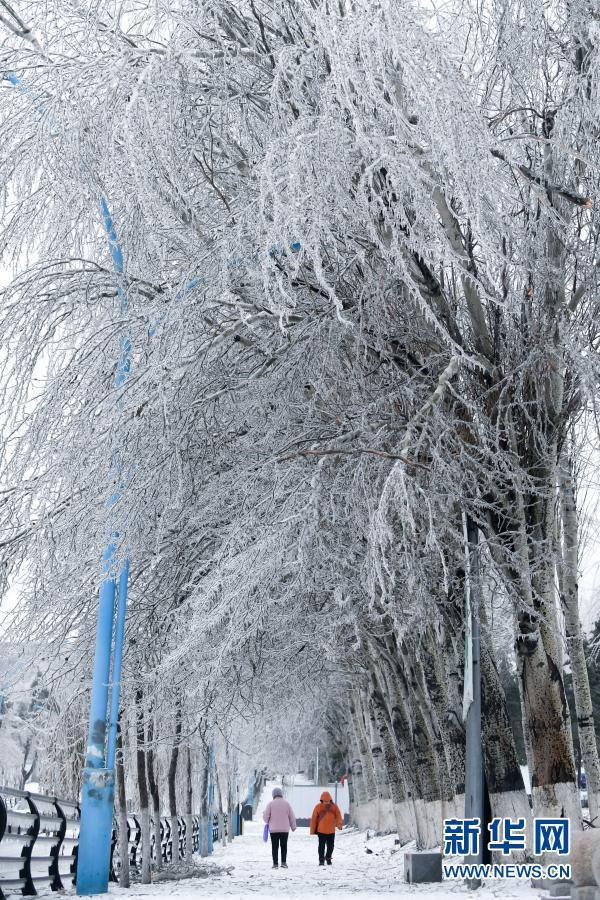 北国|冰冻北国 吉林长春遭遇罕见强雨雪大风冰冻天气