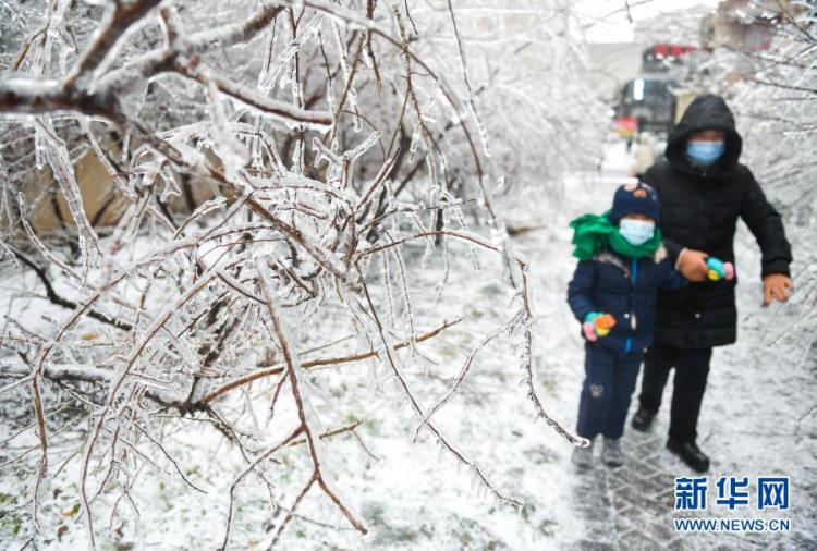 北国|冰冻北国 吉林长春遭遇罕见强雨雪大风冰冻天气