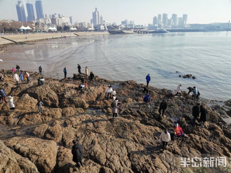 钦州游玩赶海攻略,钦州游玩攻略
