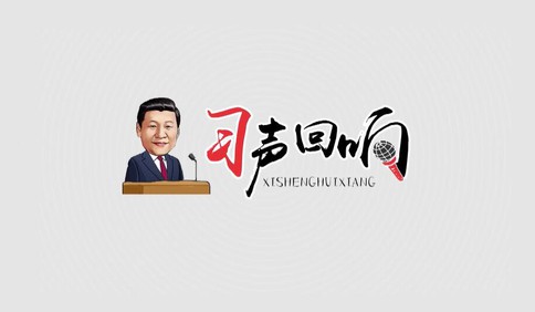 習聲回響｜總書記的全面小康聲音密碼（七）：1131