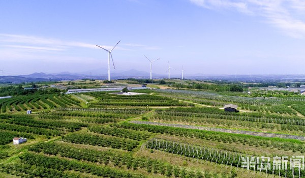 政前方丨打造“样板中的样板”！青岛乡村振兴的浓“农”深情