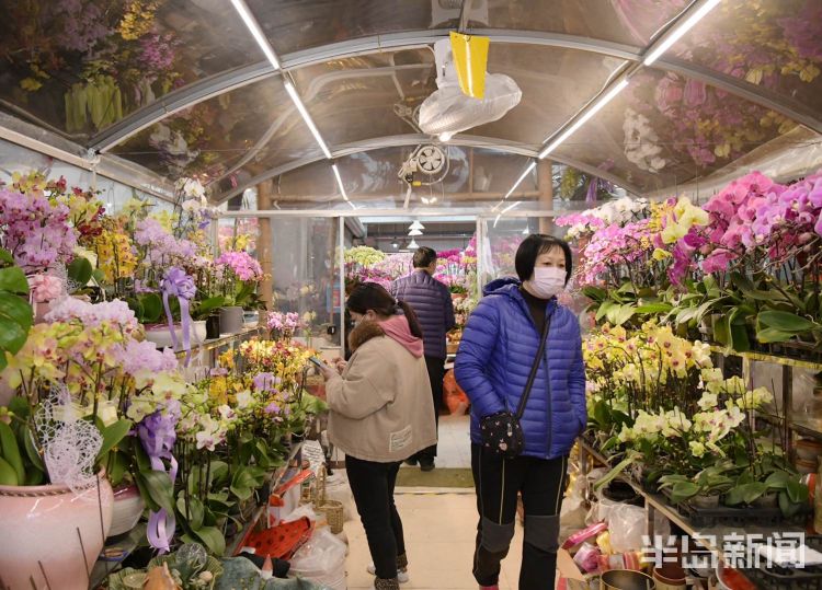 盆栽花卉市场 601d3b672748db19f8238151.jpeg