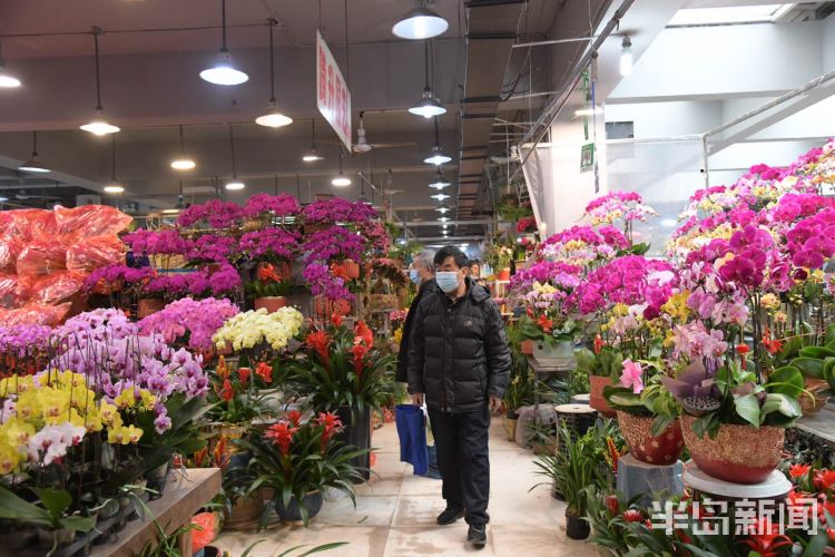 青岛南山花卉市场鲜花盆栽红火火