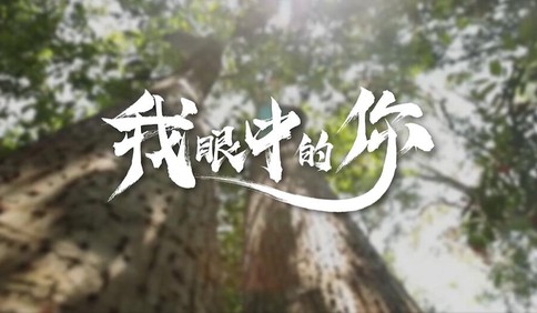 紅色印記，我的追尋 | 紅色百寶·清明節特輯