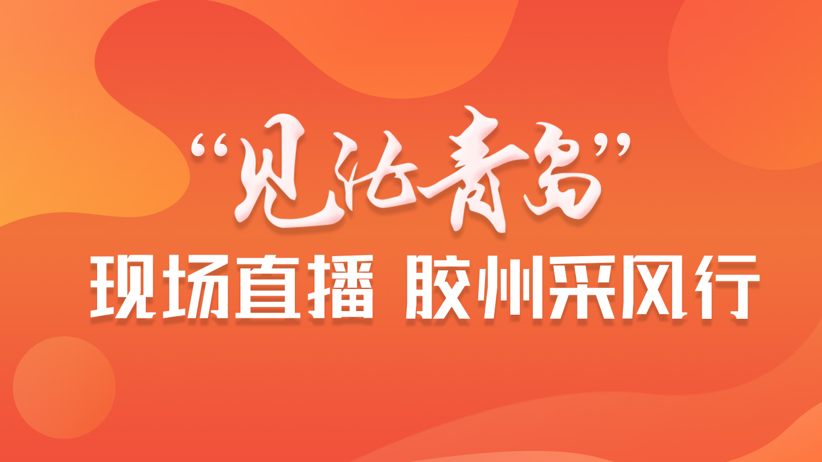 【半岛网直播】“见证青岛”现场直播活动第八站 走进胶州探访上合新区新变化