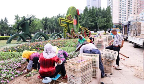 綠雕景觀扮靚五四廣場 鮮花盛景喜迎建黨百年