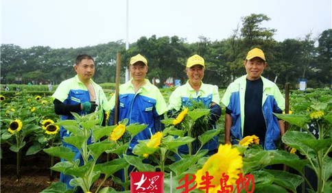 面朝大海向陽花開 海濱風景區獻禮建黨百年