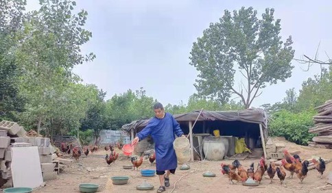鸡倌埋头苦干华丽转身“庭院经济”唱响乡村振兴致富新乐章