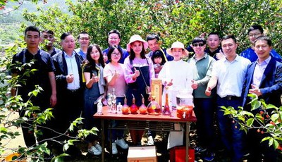 樱桃“红”出圈藏红花开“钱”路 北宅街道俩社区走出乡村振兴路