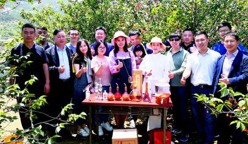 樱桃“红”出圈藏红花开“钱”路 北宅街道俩社区走出乡村振兴路