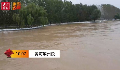 【视频】实拍！黄河滨州段汛情告急！水位暴涨水流湍急 已派专家组驻守